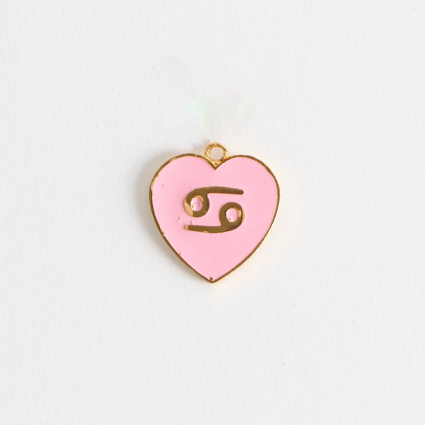 Zodiac Charm